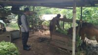 Ketahanan Pangan dari Rumah: Polri Ajak Warga Tanam Sayur di Pekarangan