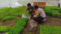 Strategi Polres Lombok Barat Tingkatkan Kemandirian Pangan Masyarakat Desa