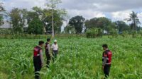 Polres Lombok Barat Dampingi Petani Gerung Utara, Dukung Swasembada Pangan