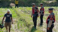 Polres Lombok Barat Dukung Ketahanan Pangan Lewat Patroli Humanis di Desa Kuripan