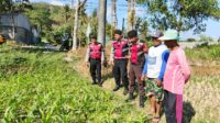 Polri Hadir Bantu Petani Jagung Wujudkan Swasembada di Lombok Barat