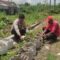 Sinergi Polsek Labuapi dan Warga Mapak Reong Dorong Pemanfaatan Pekarangan Produktif
