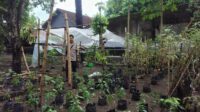 Warga Bengkel Sulap Pekarangan Jadi Sumber Pangan Bergizi