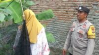 Pekarangan Bergizi di Sekotong Barat, Polri Berperan Aktif Dukung Ketahanan Pangan