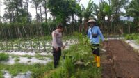 Bhabinkamtibmas Desa Jagaraga Aktif Sosialisasi Ketahanan Pangan, Warga Antusias Menyambut