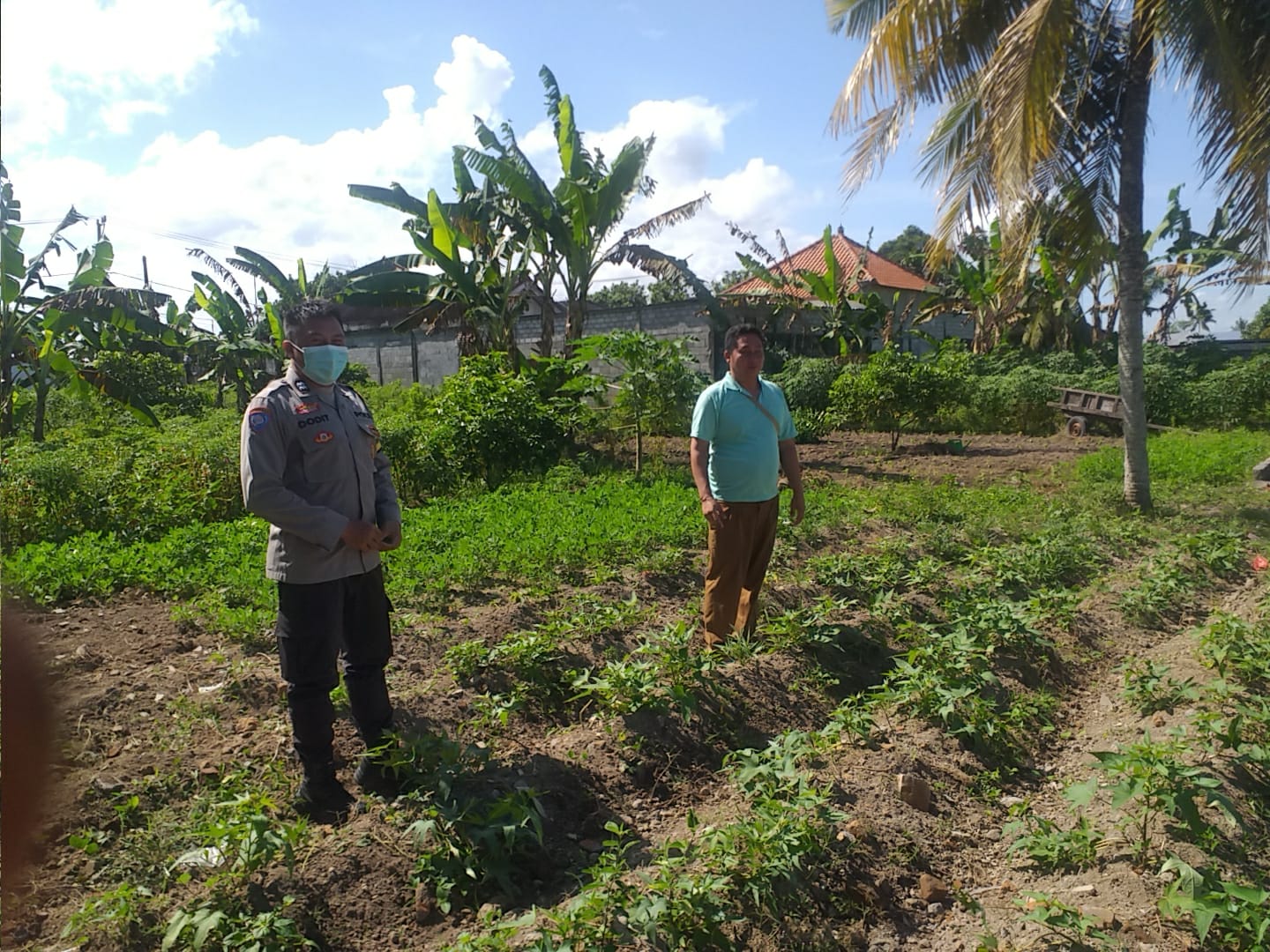 Polri Dukung Ketahanan Pangan Nasional Bhabinkamtibmas Jagaraga Ajak Petani Manfaatkan Lahan Produktif