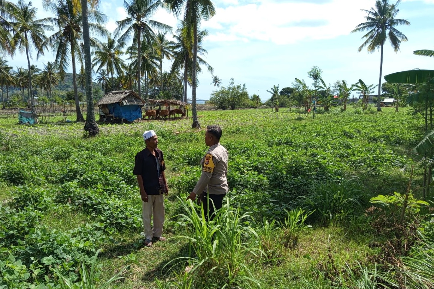 Kunjungi Petani di Sekotong, Polri Tekankan Pemanfaatan Lahan Demi Kedaulatan Pangan