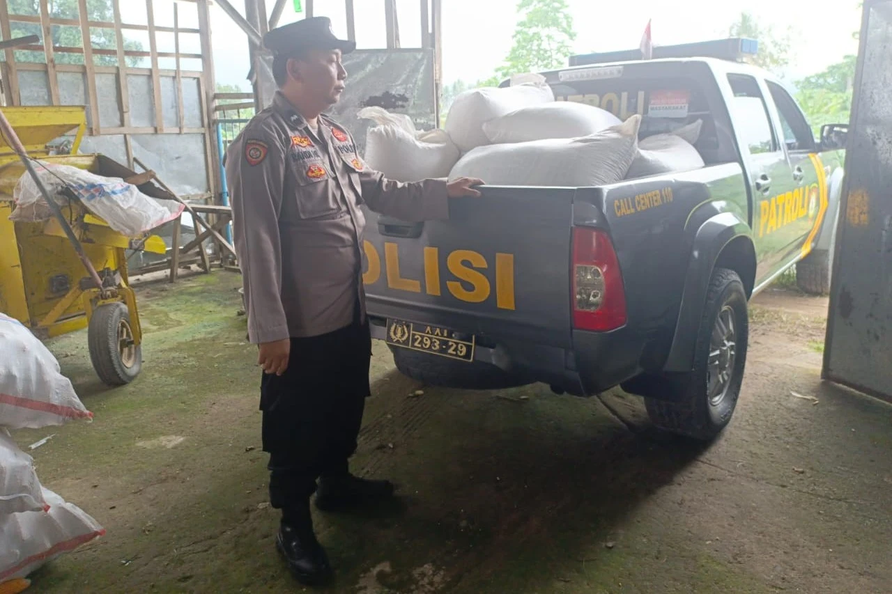 Polisi Turun ke Ladang, Pastikan Jagung Petani Lembar Terserap BULOG