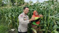 Sinergi Polri dan Warga Labuapi Wujudkan Kemandirian Pangan Keluarga