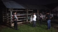 WhatsApp Image 2025-11-06 at 02.55.29 Apresiasi Warga Mengalir, Polisi Hadir di Tengah Sunyi Dini Hari Amankan Hewan Ternak