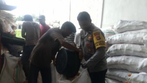 Jaga Kualitas, Polri Bantu Petani Lombok Barat Pipil Jagung