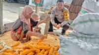 Bhabinkamtibmas Lombok Barat Dukung Distribusi Jagung ke Bulog