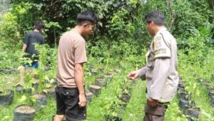 Strategi Polsek Batulayar Tekan Inflasi Melalui Lahan Desa